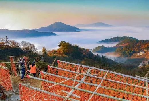 徽州古韵金秋丨婺源、石城、篁岭、宏村、石潭、塔川6天摄影团 商品图5