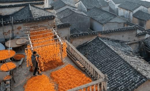 徽州古韵金秋丨婺源、石城、篁岭、宏村、石潭、塔川6天摄影团 商品图6