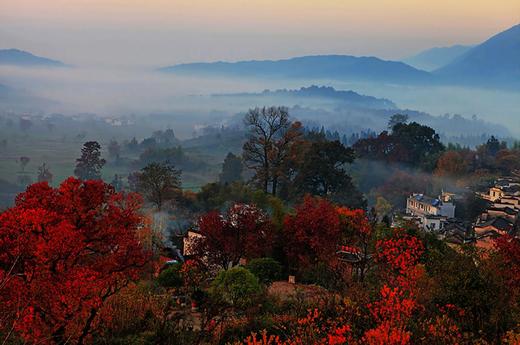 徽州古韵金秋丨婺源、石城、篁岭、宏村、石潭、塔川6天摄影团 商品图11