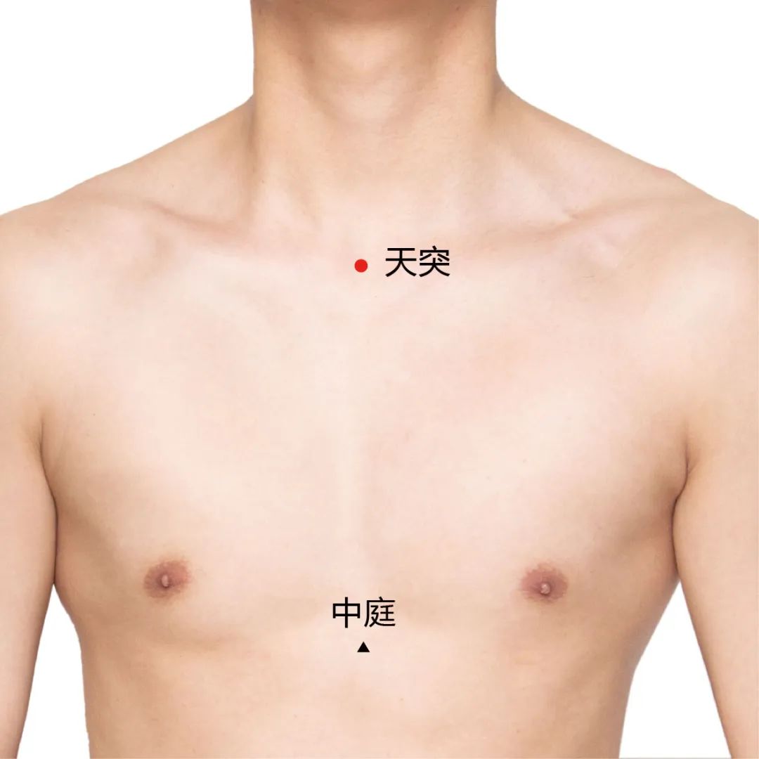 天突：天突也是任脉穴位，任脉与阴维脉的交会之海，总任六阴经，可以调