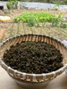 地皮菜250g/袋 商品缩略图3