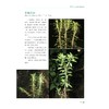 景宁石松类和蕨类植物/主编 王宗琪 许元科 林坚 周天焕/浙江大学出版社 商品缩略图3