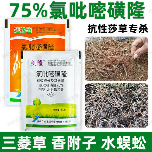 正品75%氯吡嘧磺隆升级版莎草净香附子水花生阔叶莎草杂草除草剂 商品图4