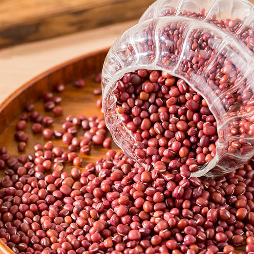 有机红小豆480克 商品图2