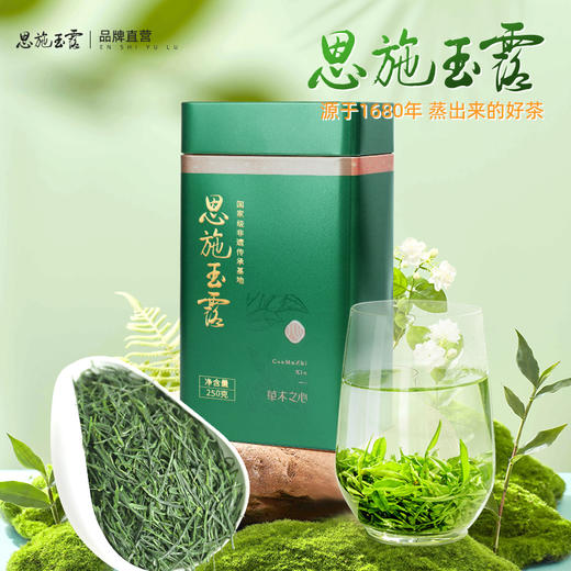 【2026年新茶预售】茶马世家丨恩施玉露 湖北绿茶 一级 250g  ，新茶预计4月15日发货 商品图0