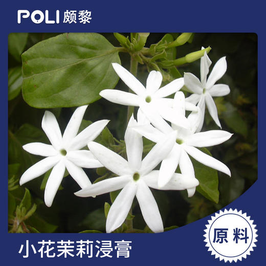 香水浸膏原料空气香薰原料小花茉莉浸膏颇黎天然香氛浸膏 商品图0