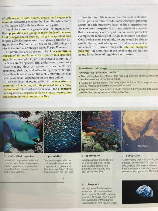 生物学：生命的统一性与多样性 数百幅插图 精装16开 商品图7