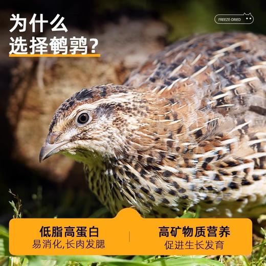 【双12秒杀】【仅限购1次】美人喵 鹌鹑鲜肉无谷冻干全价猫粮 2.5kg 商品图2