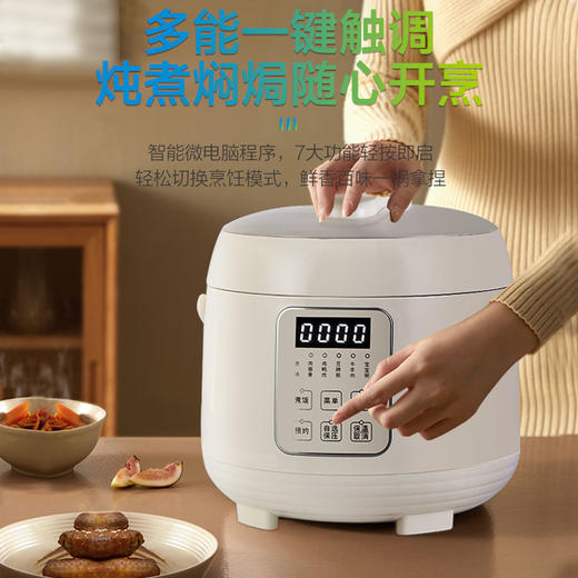 SCP201R 电压力锅/彩盒（单包） 商品图5