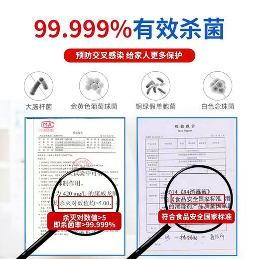 康威龙84消毒液500g 商品图5