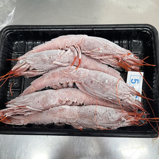 海鲜刺身红魔虾5/6 商品图1