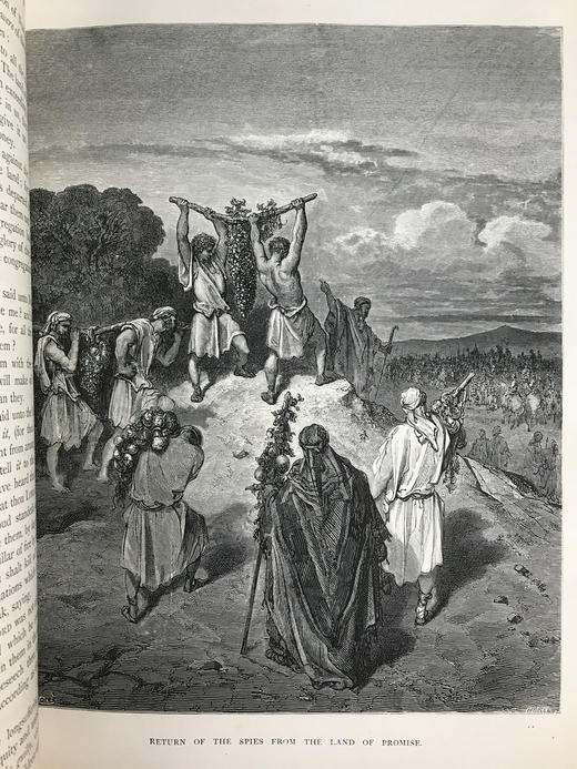 重10公斤巨套！约19世纪后期 多雷220幅经典版画插图 圣典（全2卷） 真皮精装8开 商品图5