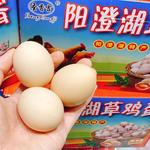 阳澄湖草鸡蛋 约5斤/箱 商品图0