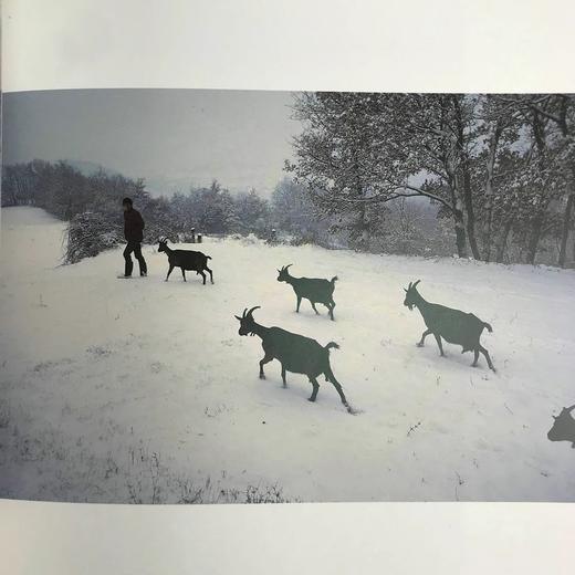 薰衣草：普罗旺斯的芬芳 132幅彩色插图 精装16开 商品图14
