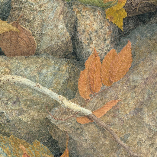 “馆野鸿科学绘本”：《蛩蠊》《斑蝥》《虎凤蝶》《埋葬虫》（全4册） 商品图10