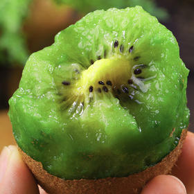 陕西徐香猕猴桃 ｜ 生态养殖*Shaanxi Xuxiang Kiwifruit