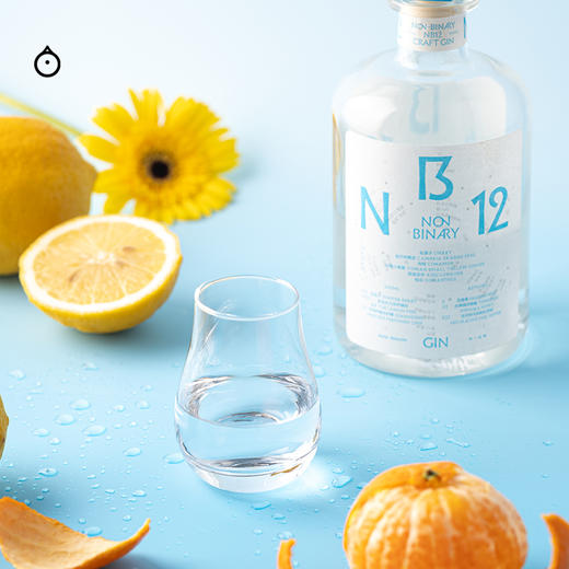 企鹅市集|非二进制NON-BINARY NB12 手工金酒 12种水果香料蒸馏 甜橙柠檬香 商品图5