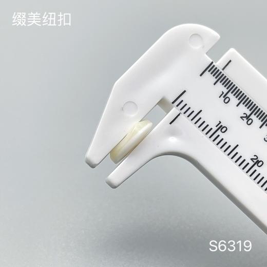 S6319(整包购买) 商品图3