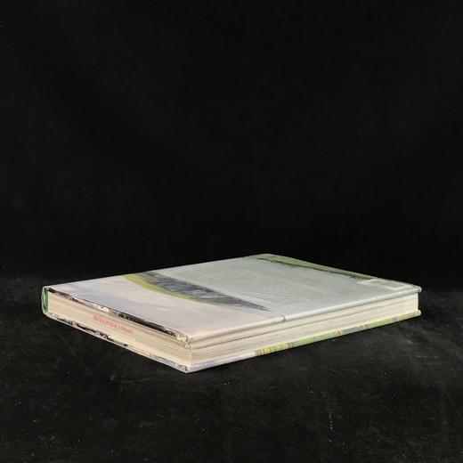 文字与图像中的爱尔兰 160余幅彩色插图 精装大16开 商品图2