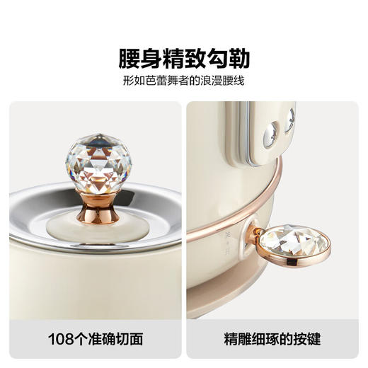 北鼎 Buydeem K208炫彩全304不锈钢电水壶 香槟黄【LXKGZQ8.0】 商品图1