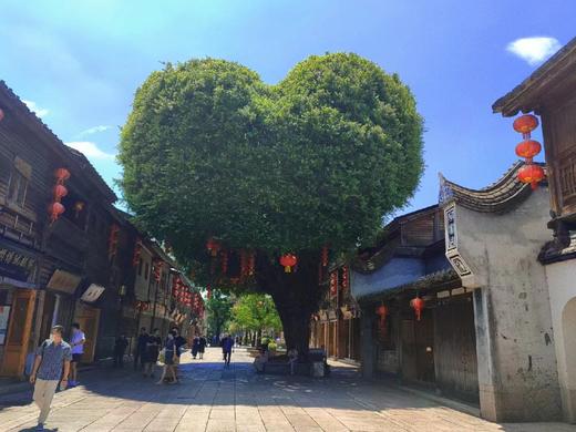 【福建闽中秋色】尤溪银杏•奇达村•桂峰晒秋•嵩口古镇•三坊七巷7天摄影<特惠> 商品图3