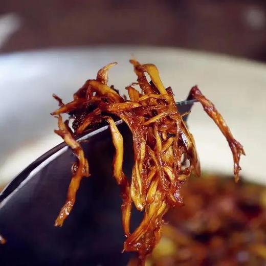 云南  油鸡枞【鲜嫩&干香版本】 商品图0