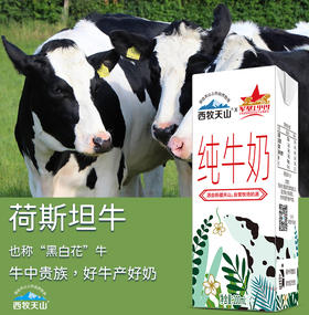 新疆好奶·西牧天山纯牛奶插画版 源自天山上的天然牧场