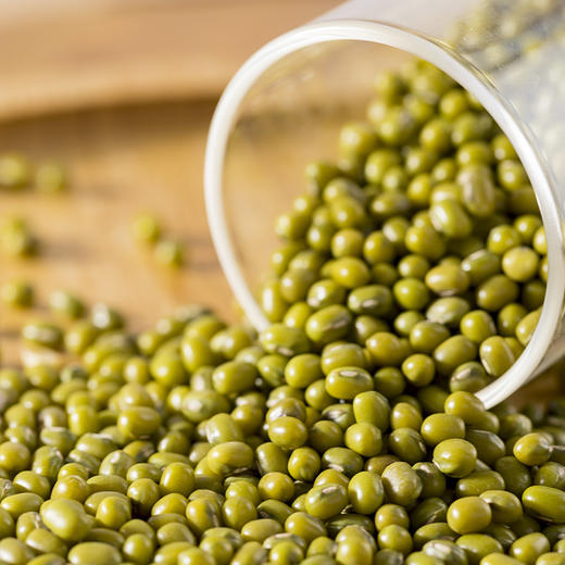 有机绿豆480克 商品图0