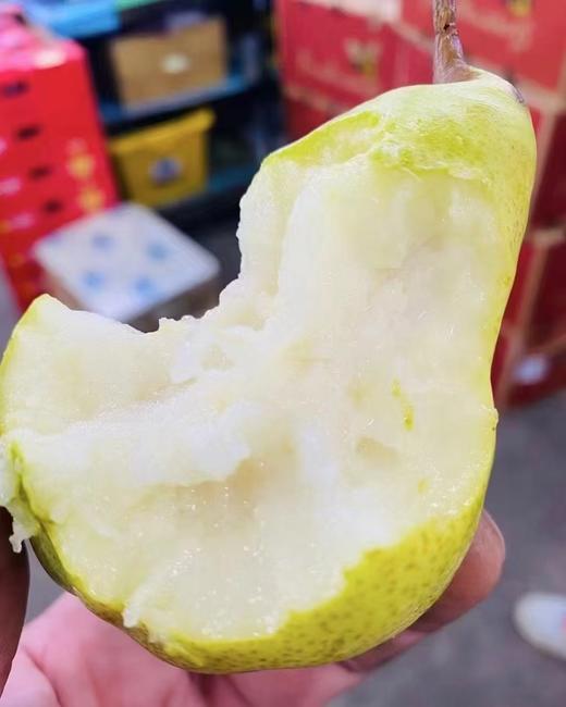都乐大头梨2斤 商品图2