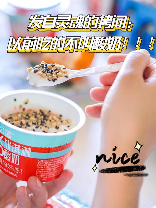 让酸奶更好吃！【尼诺公园·冰淇淋酸奶】奶香浓郁 入口即化 自带花生碎和黑芝麻  奢侈品级酸奶！ 商品图6