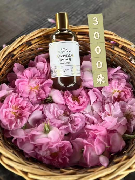 头道纯露/陪伴到老！含有精油的大马士革玫瑰纯露！ding级的食用玫瑰，4斤鲜花1斤水蒸馏萃取，保加利亚官方合作基地纯种种苗，自然农法种植，桃花源中有玫瑰! 商品图1