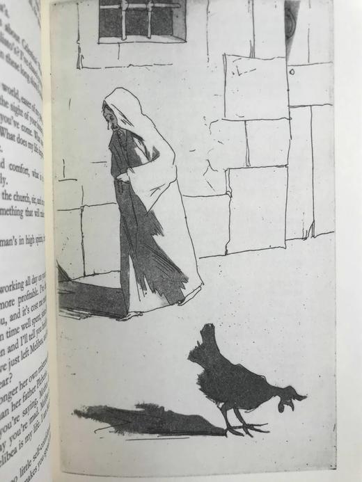 费尔南多·德·罗哈斯《西班牙鸨母》 8幅插图 精装大32开带书匣 商品图9