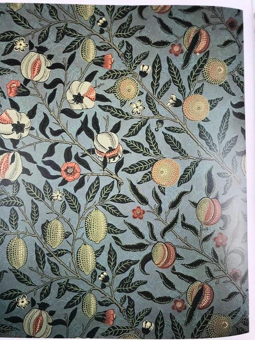 工艺美术运动图集（1995） 150余幅插图 精装大16开 商品图8