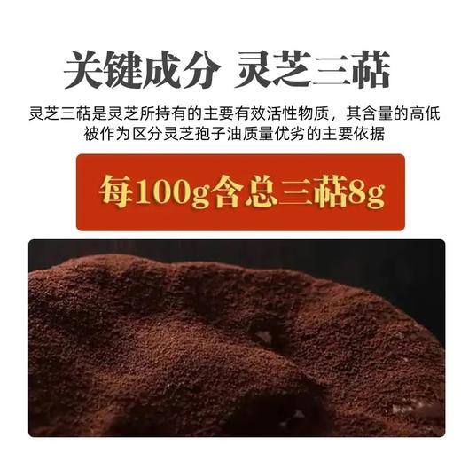 谨义堂破壁灵芝孢子粉 高含量多糖总三萜 富硒有机认证 商品图2