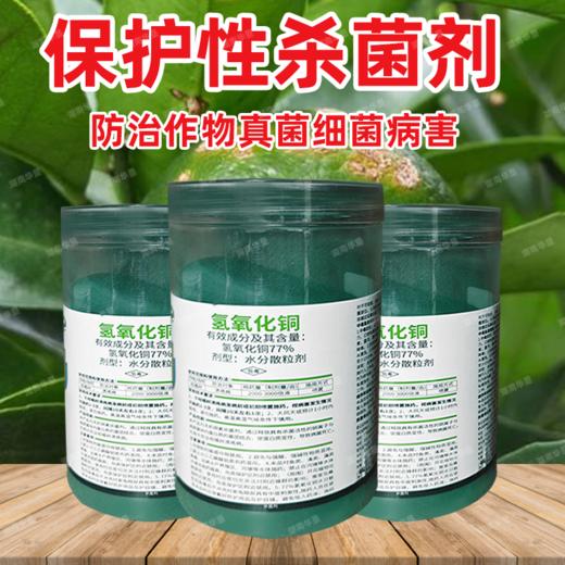 77%高含量氢氧化铜果树柑橘溃疡细菌性病害专用正品杀菌剂农药 商品图0