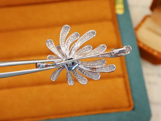 523128 无烧鸽血红红宝石胸针/吊坠 石重：1.03ct，总重：4.58g，钻石：1.035ct/345颗 18K白金，真金真钻石 超值价：26000 商品图3