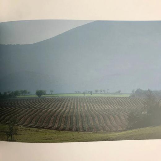 薰衣草：普罗旺斯的芬芳 132幅彩色插图 精装16开 商品图11