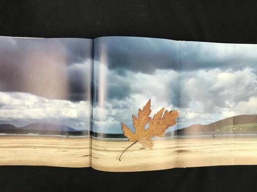 文字与图像中的爱尔兰 160余幅彩色插图 精装大16开 商品图7