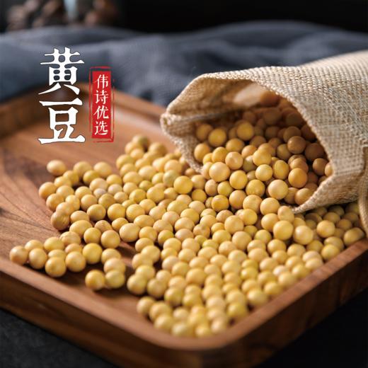 【非转基因黄豆】4斤装 商品图2