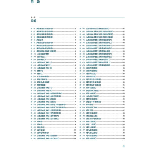 人体局部解剖学标本彩色图谱 头部表面结构 颞下颌关节 小脑的动脉 大脑大静脉及其属支 主编王昊飞等人民卫生出版社9787117354936 商品图3