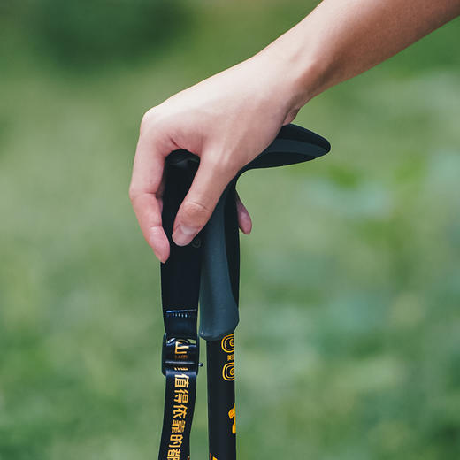 野成一团户外登山杖 商品图1