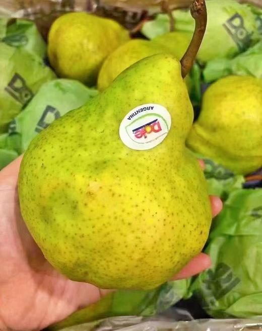 都乐大头梨2斤 商品图0