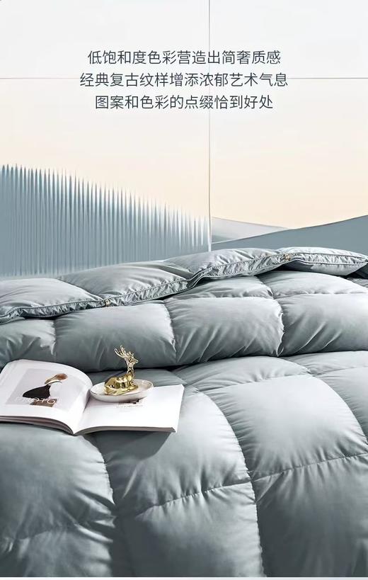 【富安娜】B座7F|富安娜/A类蓄暖鹅绒被/伊 尔顿（送1500元线下无门槛券！） 商品图2