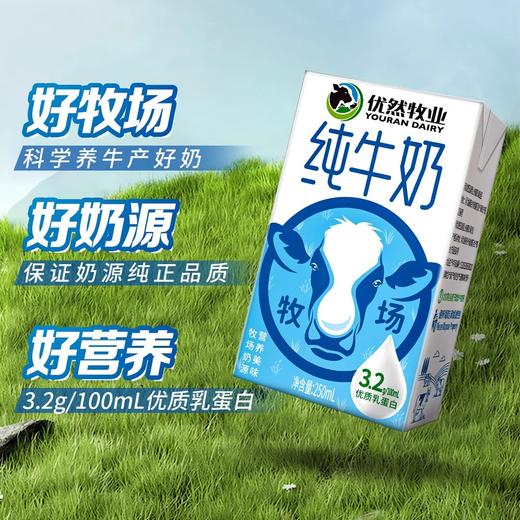 优然牧业 250ml*24盒【BC】【KW】 商品图1