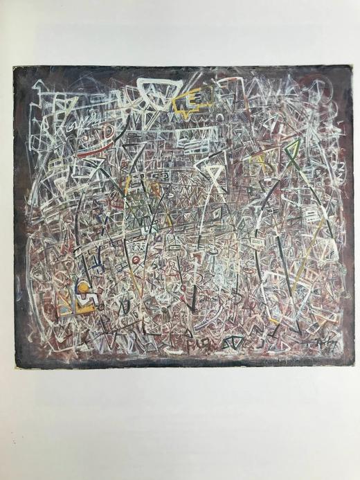 奥尔布赖特-诺克斯美术馆藏画图集 75幅彩色4幅黑白插图 精装大16开 商品图7