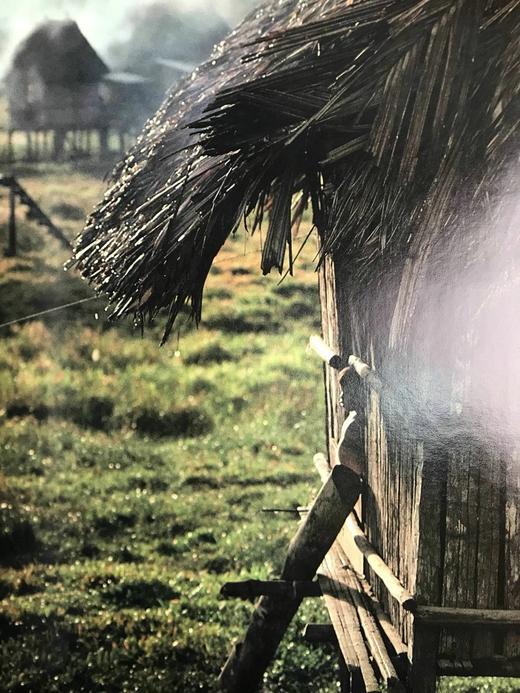 失落的帝国：现存部落 数百幅插图 精装大16开 商品图6