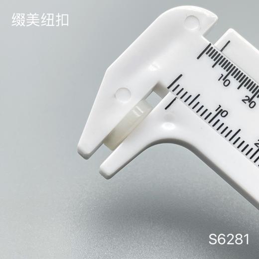 S6281(整包购买) 商品图5