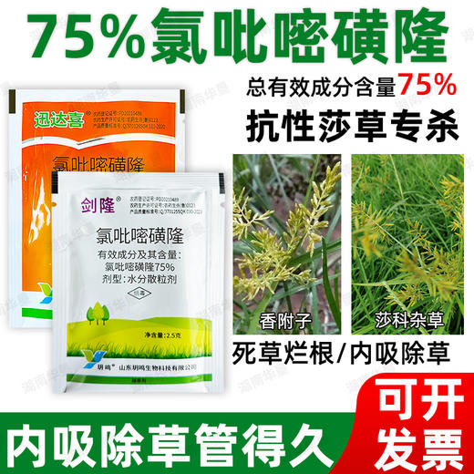 正品75%氯吡嘧磺隆升级版莎草净香附子水花生阔叶莎草杂草除草剂 商品图2