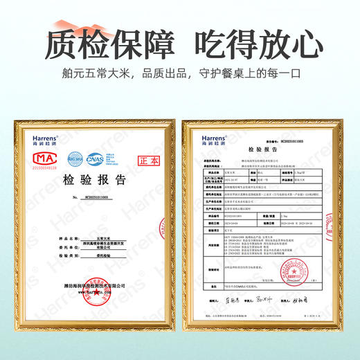 有机五常大米5kg*1袋 商品图6