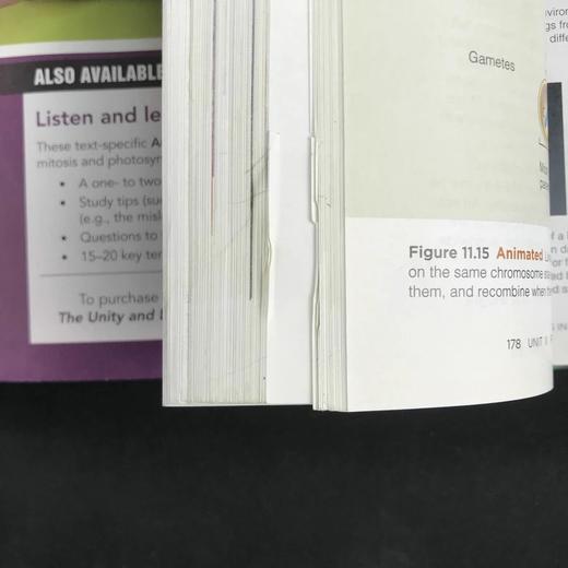 生物学：生命的统一性与多样性 数百幅插图 精装16开 商品图14